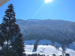 Confortable Studio 4 Pers. - Grand-Bornand, Calme, Balcon Sud - FR-1-458-166